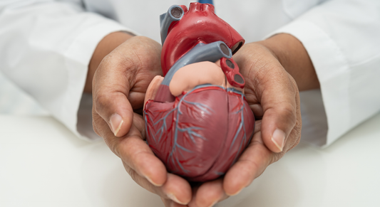 CoQ10 After Statins: Why This Nutrient Becomes Crucial in Your 60s