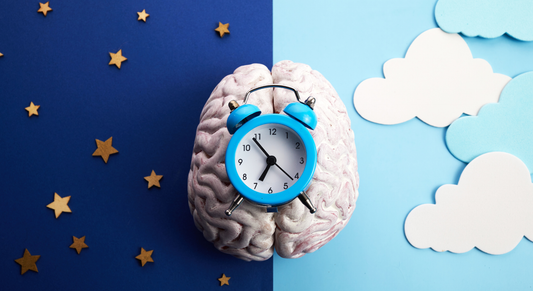 Circadian Rhythm Fragmentation After 55: Why Sleep Becomes Lighter and Nighttime Wakeups Increase