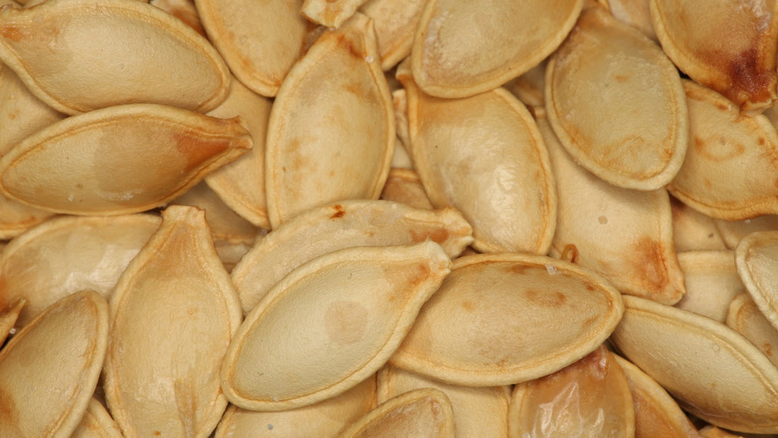 Macro photograph of roasted pumpkin seeds with sea salt
