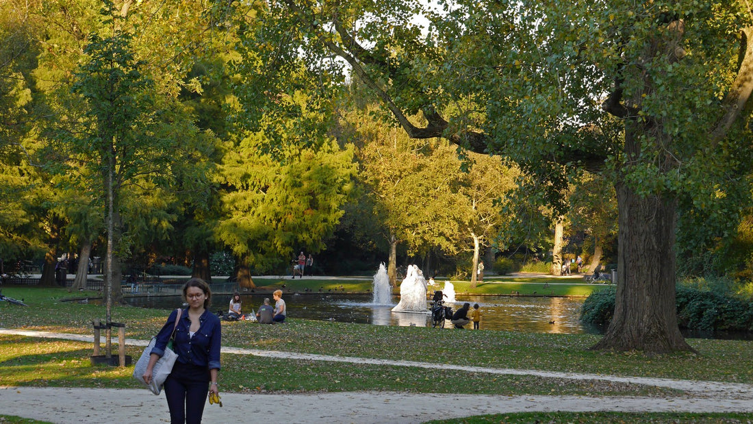 An autumn park with yellowing trees, a pond fountain, and a walking path