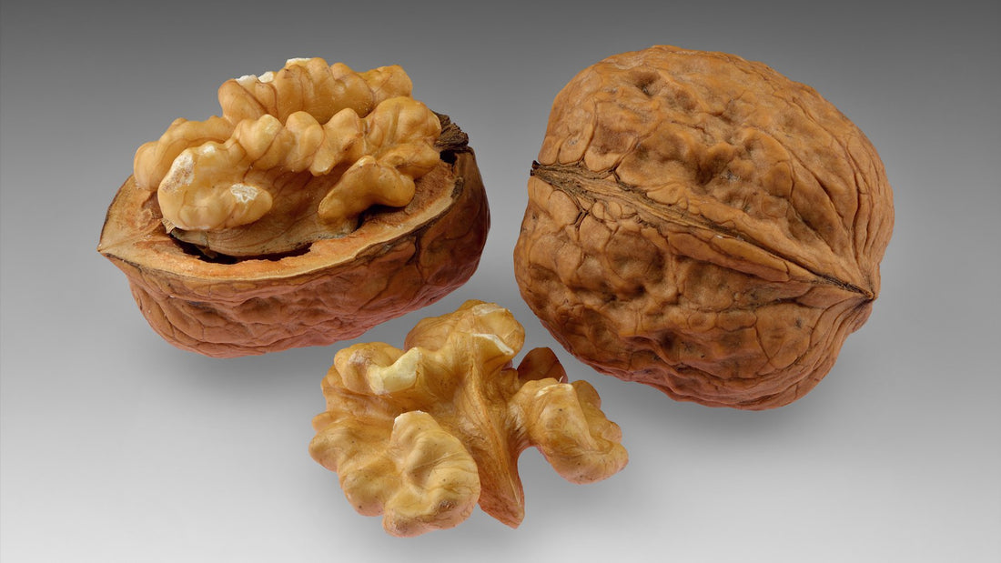 Shelled walnut halves and a whole walnut in shell on a clean surface