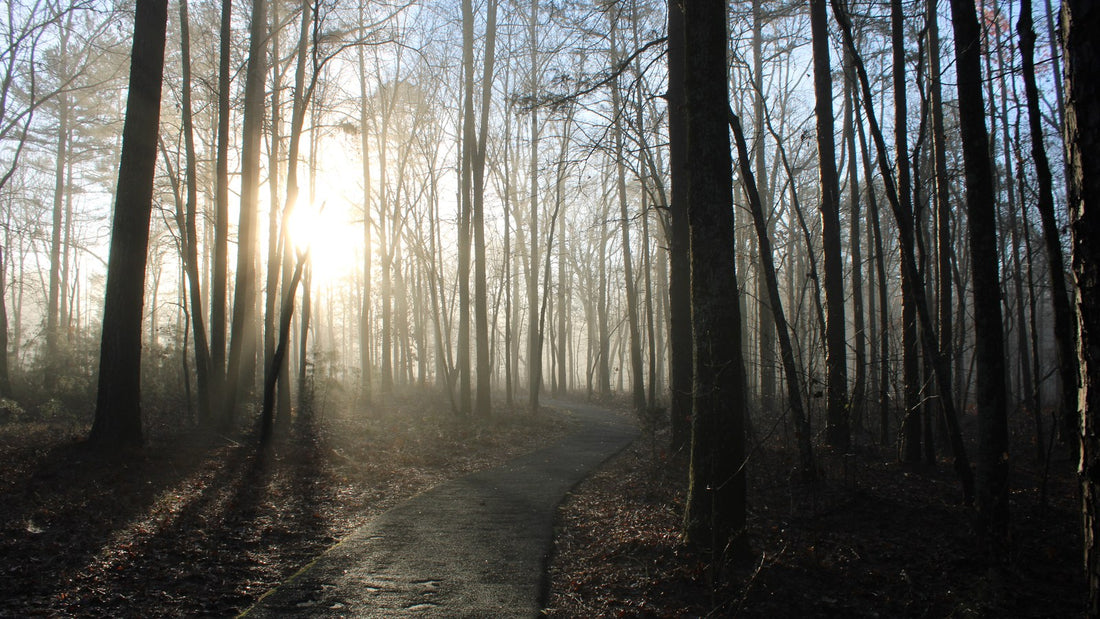 Quiet walking trail for a simple movement routine