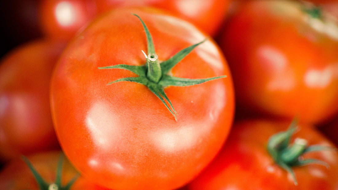 Close-up of ripe fresh red tomatoes with green stems