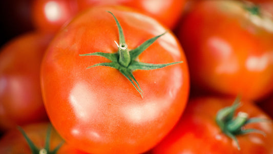 Close-up of ripe fresh red tomatoes with green stems