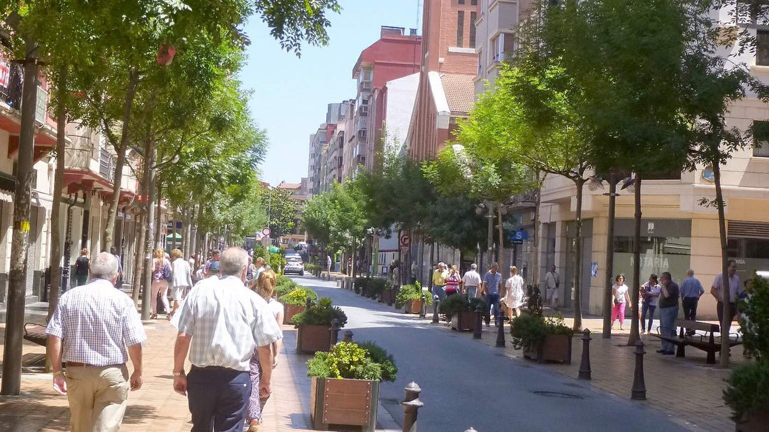 Older adults walking along a sunny pedestrian street lined with trees