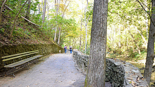 Two people walking a dog together along a wooded park trail