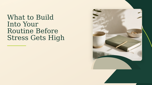 What to Build Into Your Routine Before Stress Gets High