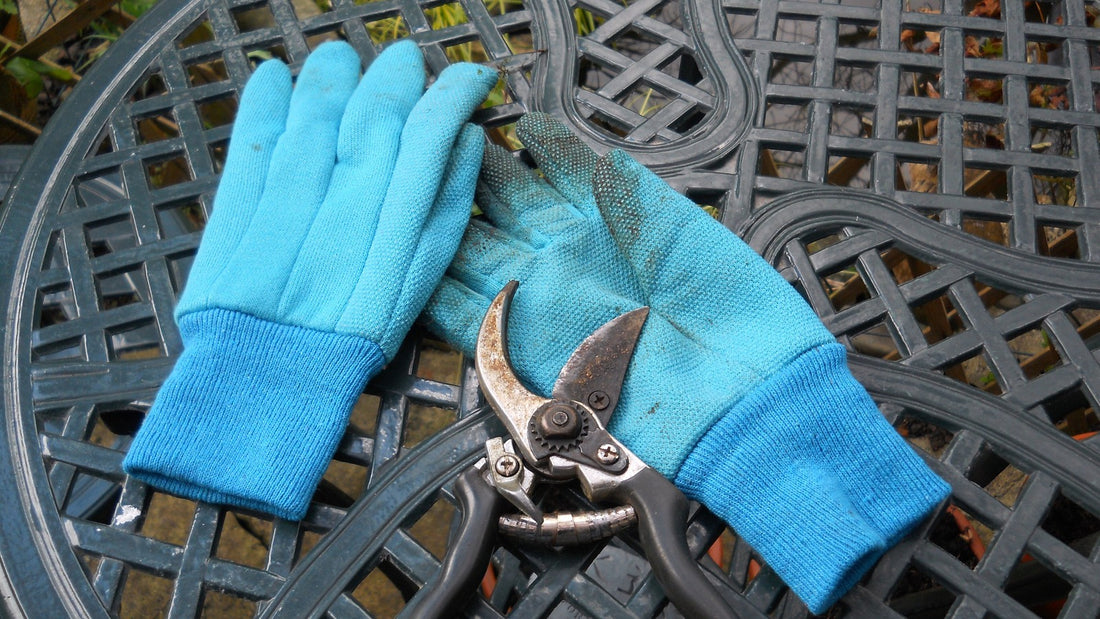 Blue gardening gloves and pruning shears on an outdoor metal table