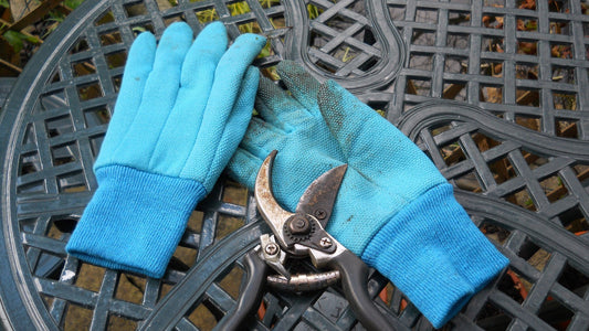 Blue gardening gloves and pruning shears on an outdoor metal table