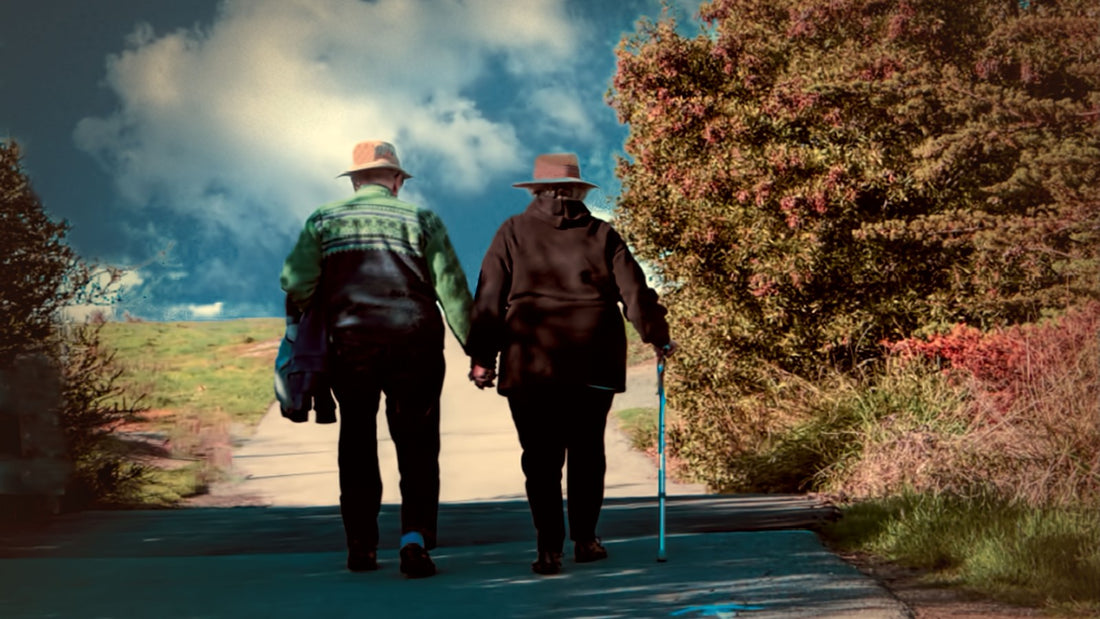 Two older adults walking together on a tree-lined park path