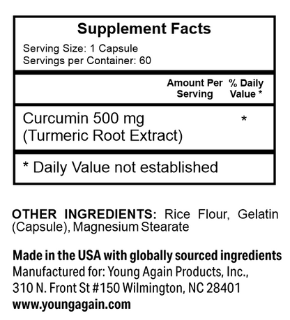 Curcumin - Source of Natural Antioxidant